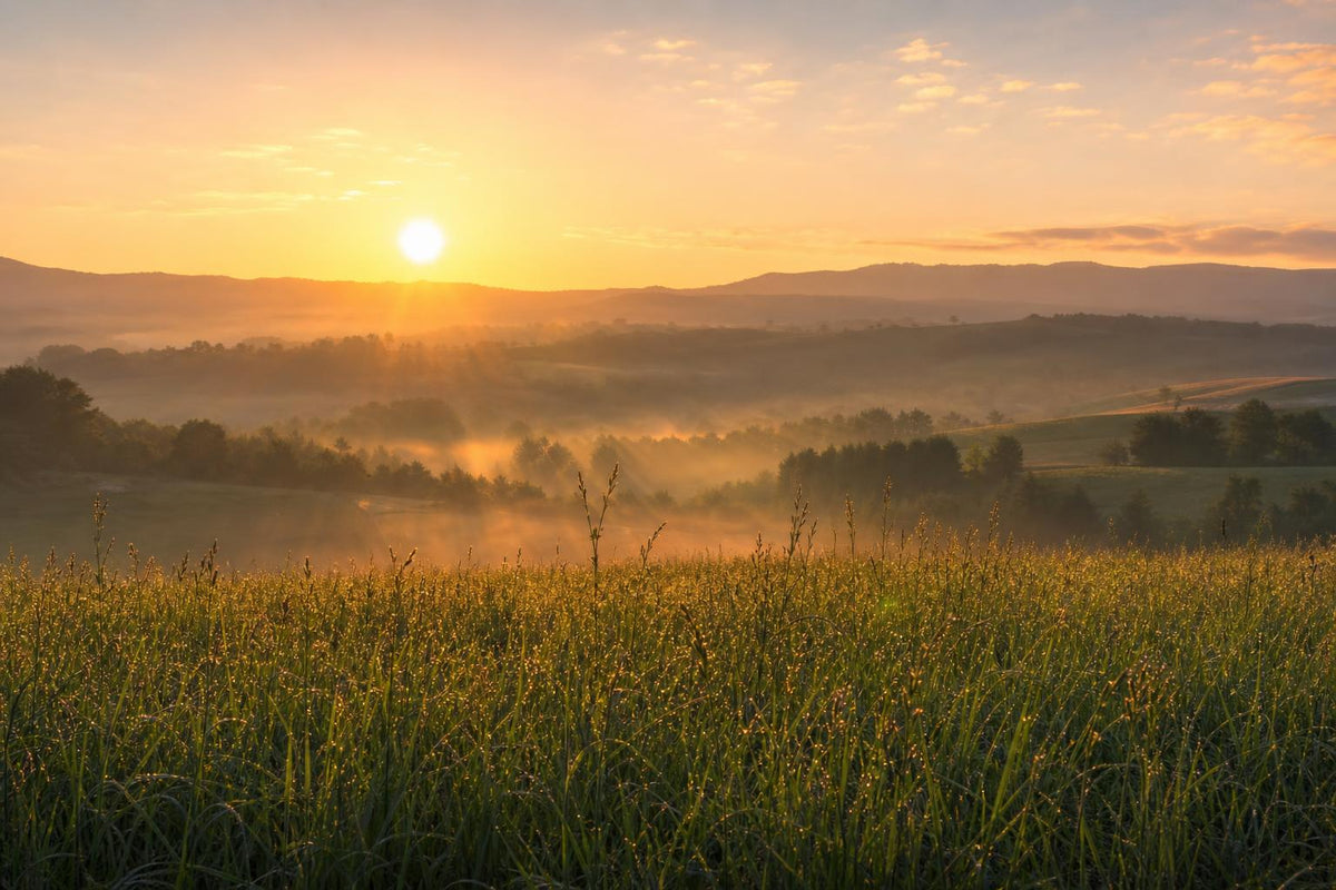 Exploring the Benefits of B12 for Energy and Vitality