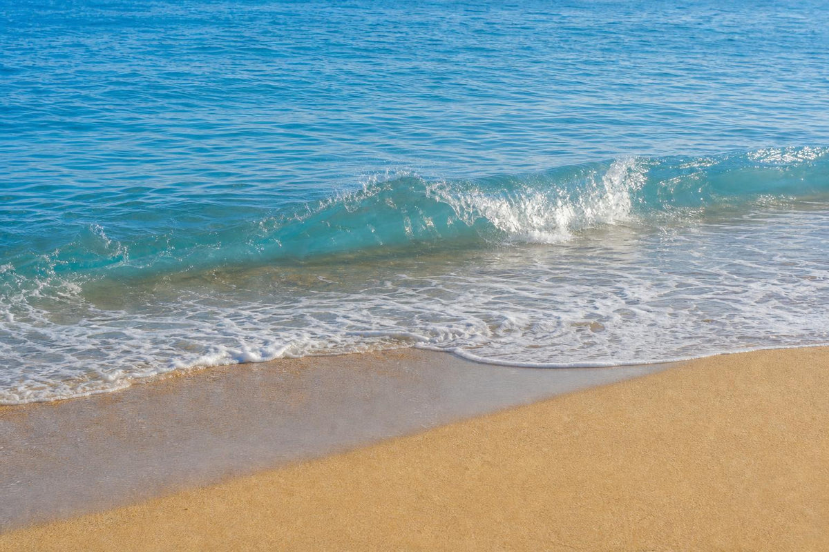 Omega-3 Benefits for Mental Clarity and Brain Function