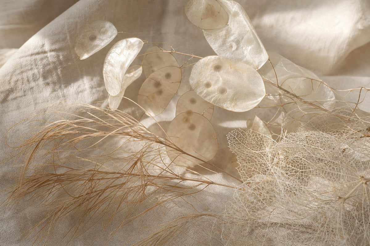 Understanding Vegetal Capsules and Their Importance